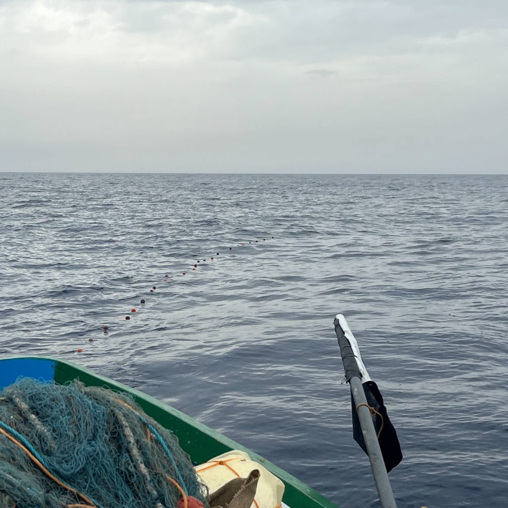 Nets thrown out for the night slowly drift out into the sea off the coast of Marsalforn, Gozo. 
